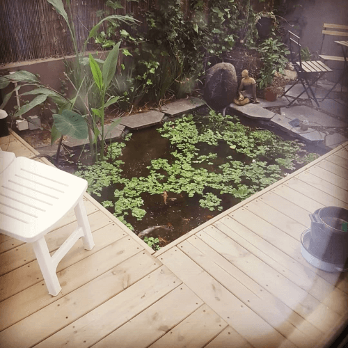 עיצוב גינה 1